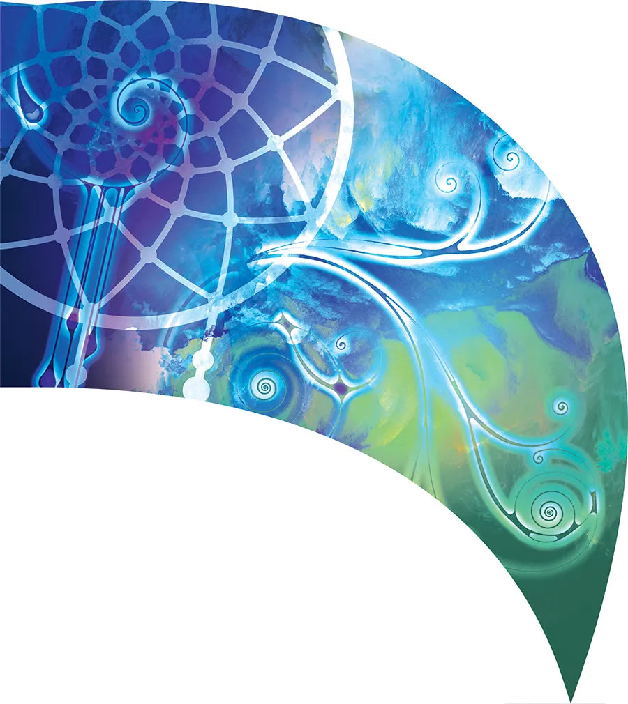 PP-0493-SS