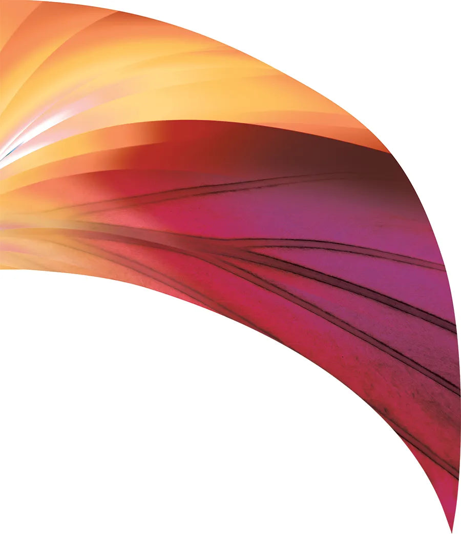 PP-0702-SS