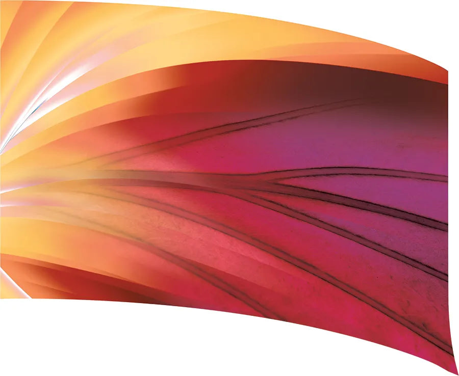 PP-0702-SS