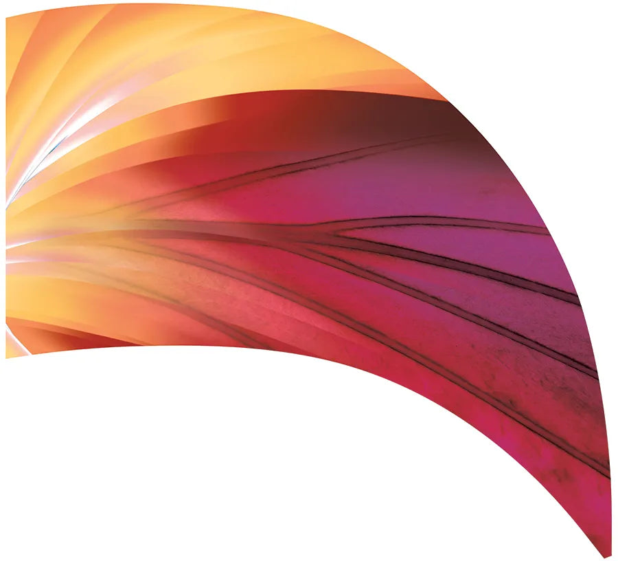 PP-0702-SS