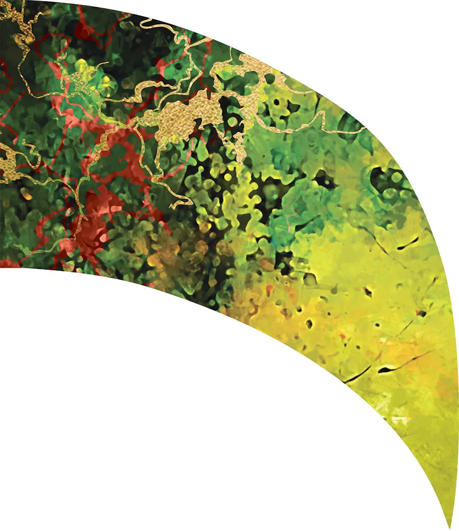 PP-0716-SS