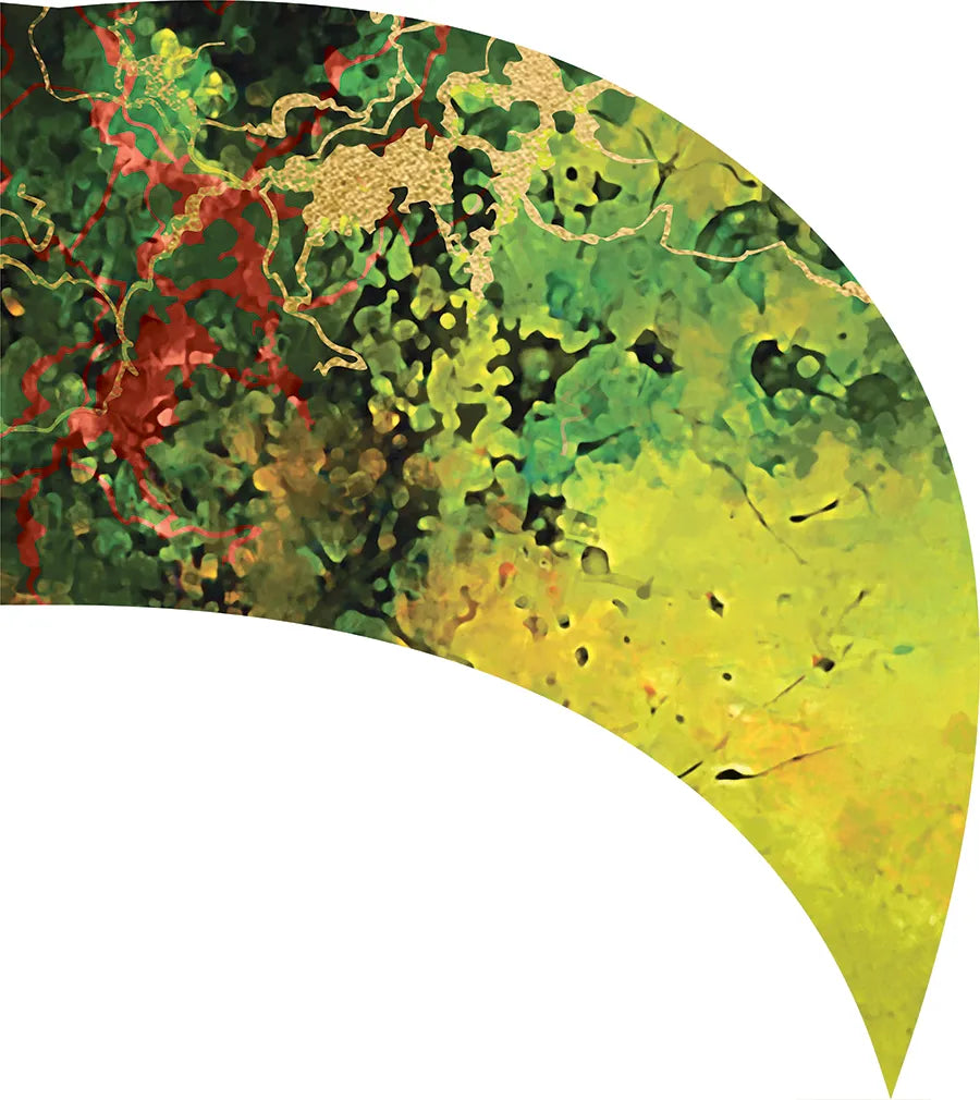 PP-0716-SS