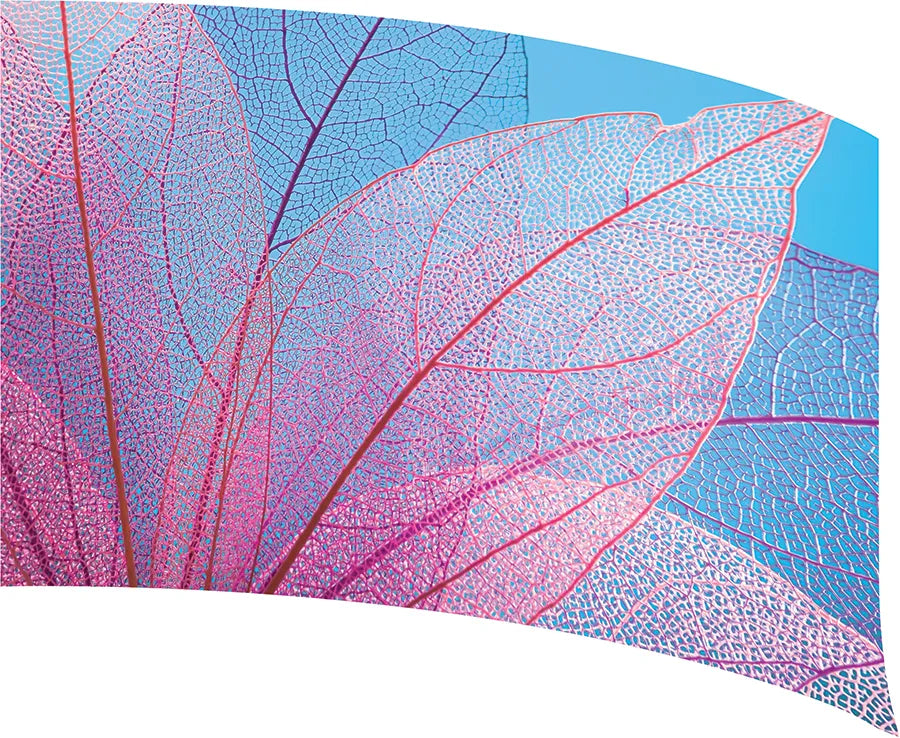PP-0738-SS