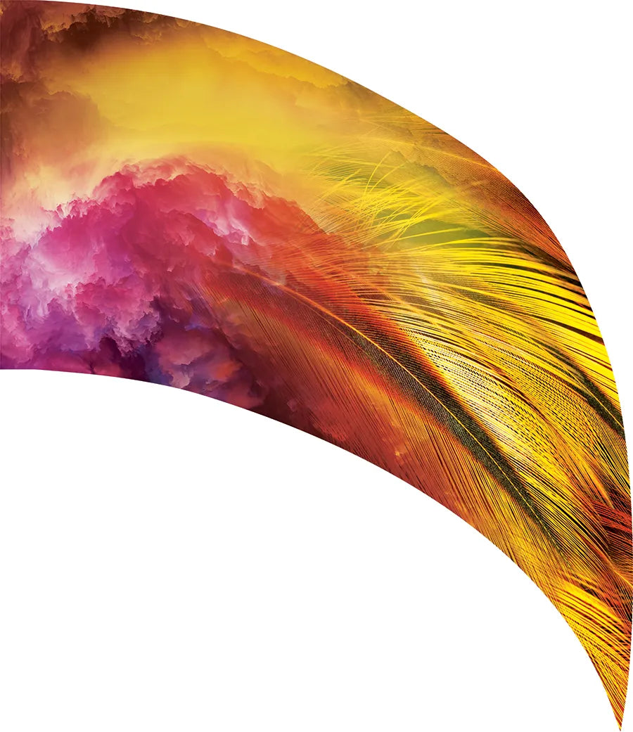 PP-0754-SS