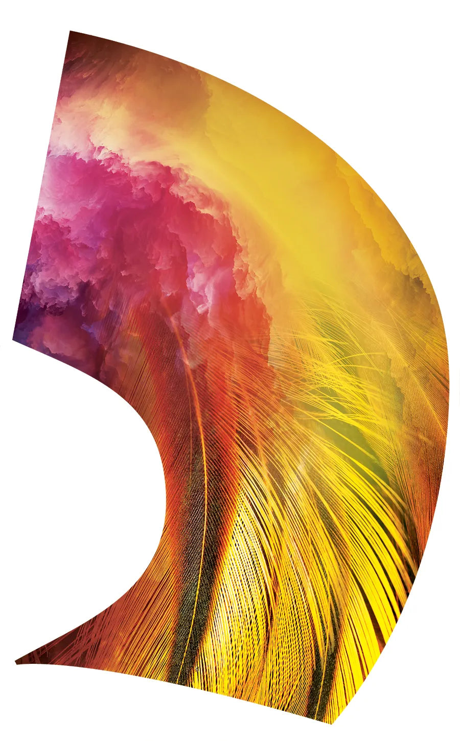 PP-0754-SS