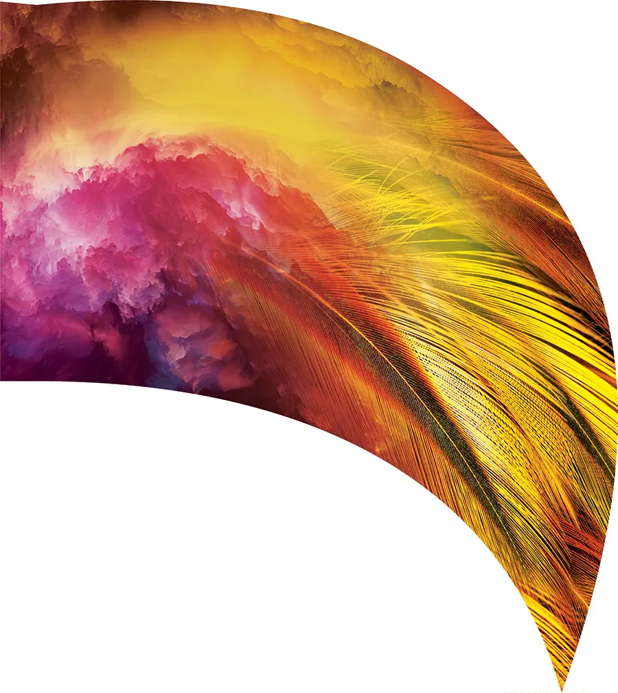 PP-0754-SS