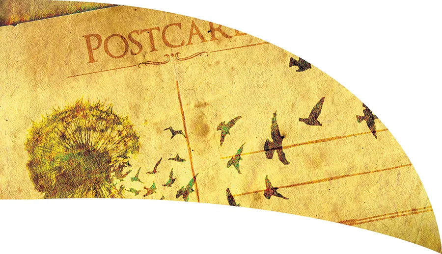 PP-0688-SS