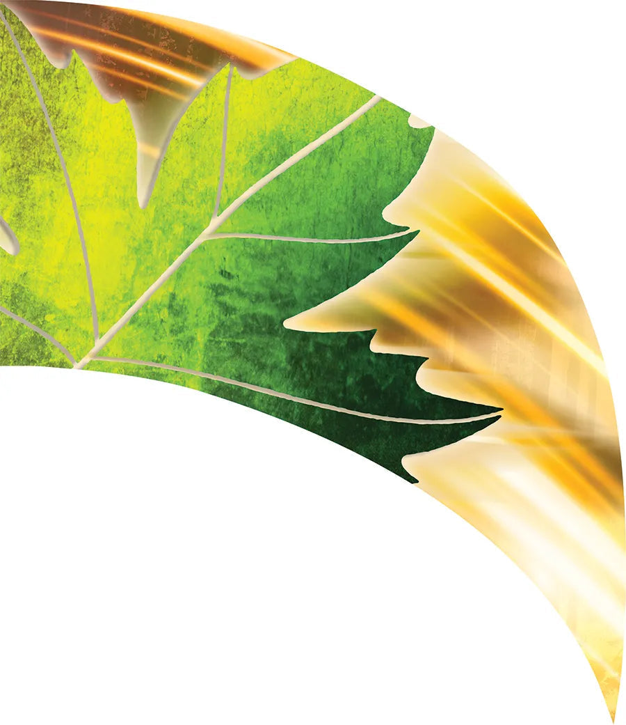 PP-0019-GD