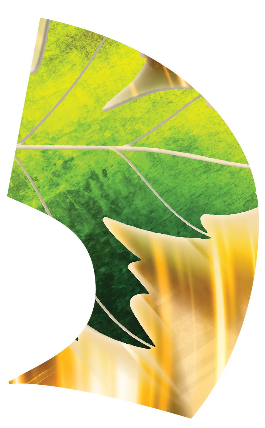 PP-0019-GD