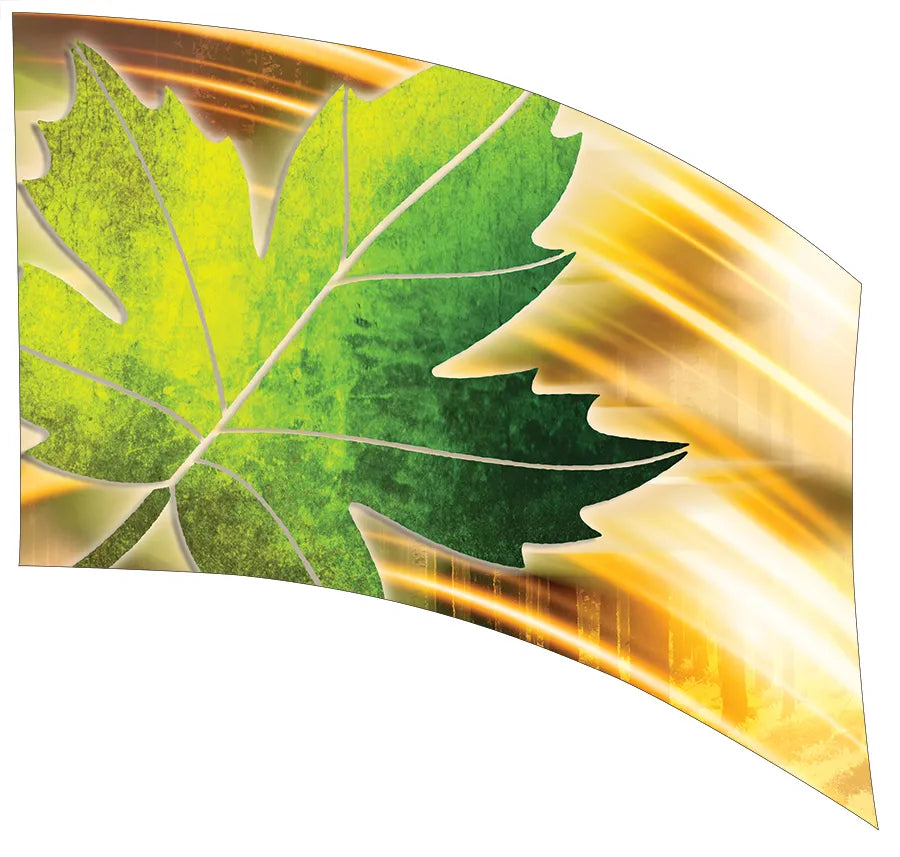 PP-0019-GD