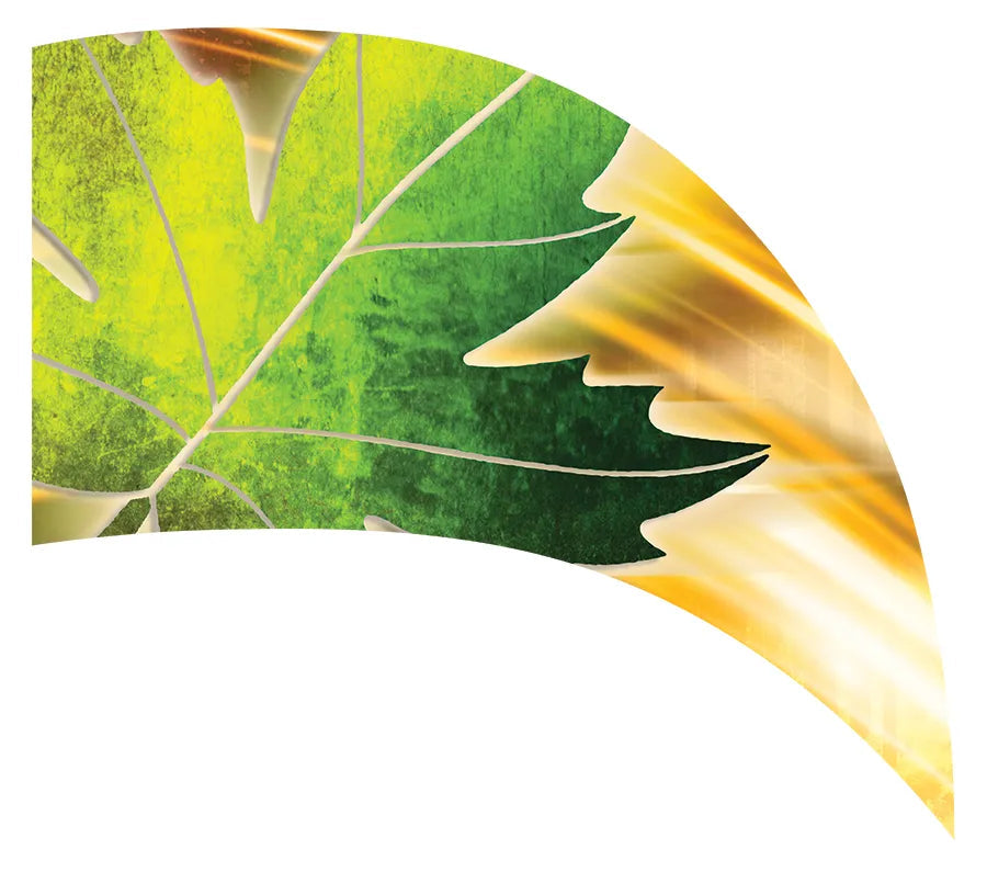 PP-0019-GD