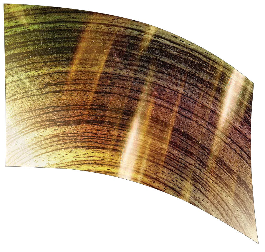 PP-0020-GD