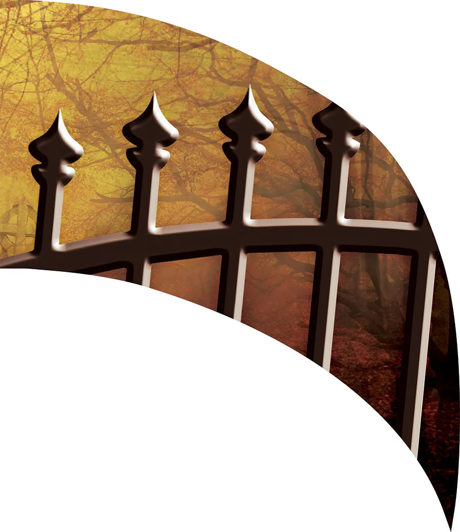 PP-0041-MALM