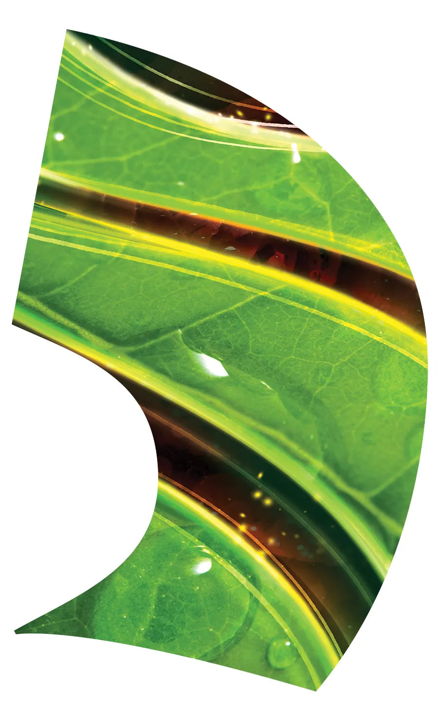 PP-0079-ES
