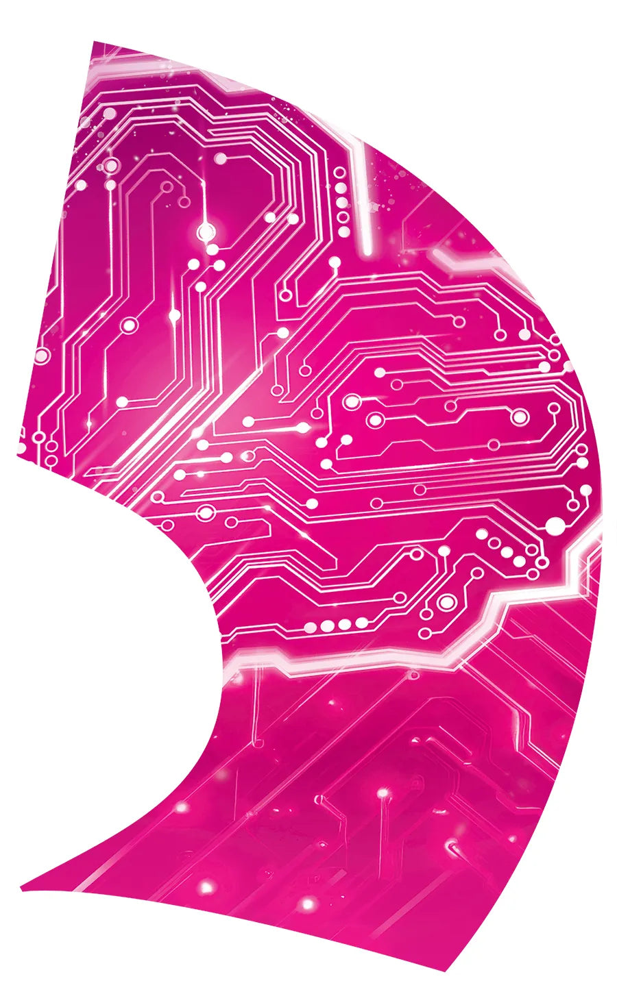 PP-0113-ES