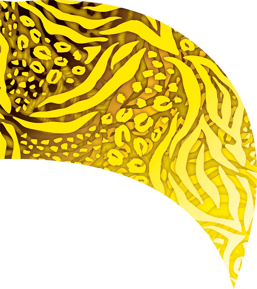PP-0119-ES