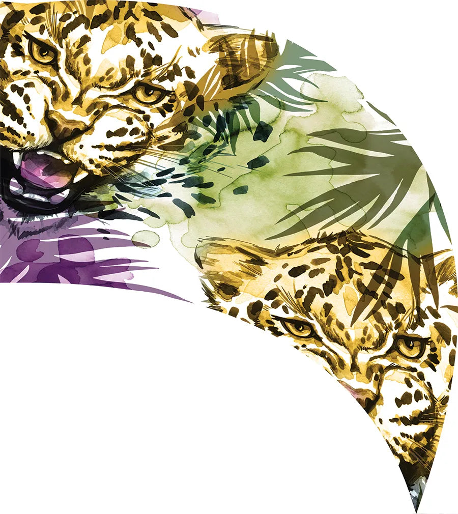 PP-1145-SP