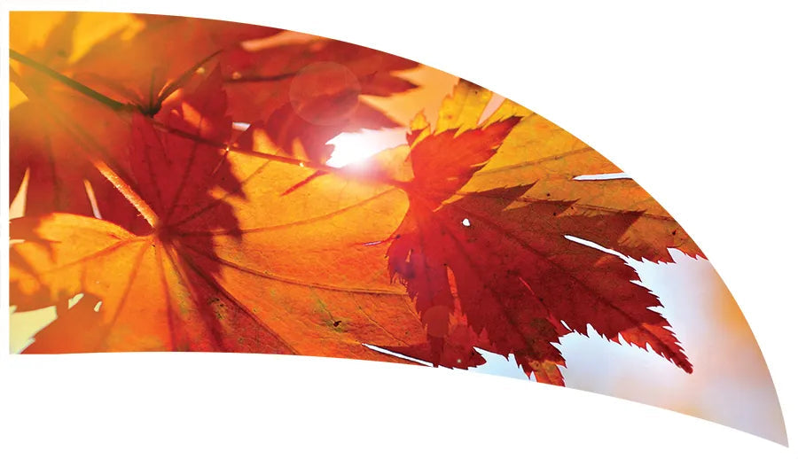 PP-1153-SP