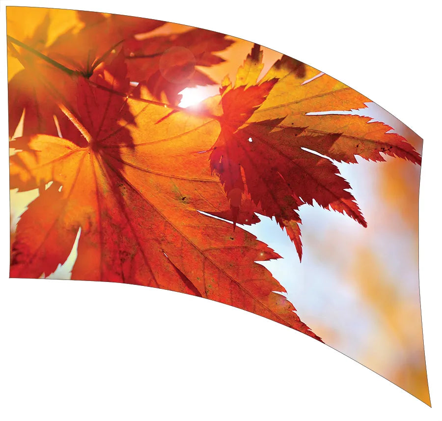 PP-1153-SP