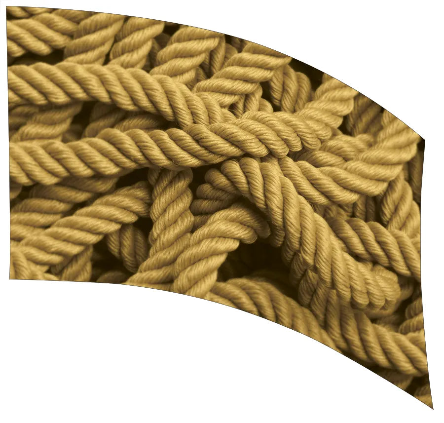 PP-1155-SP