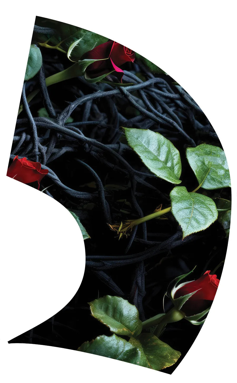 PP-1159-SP