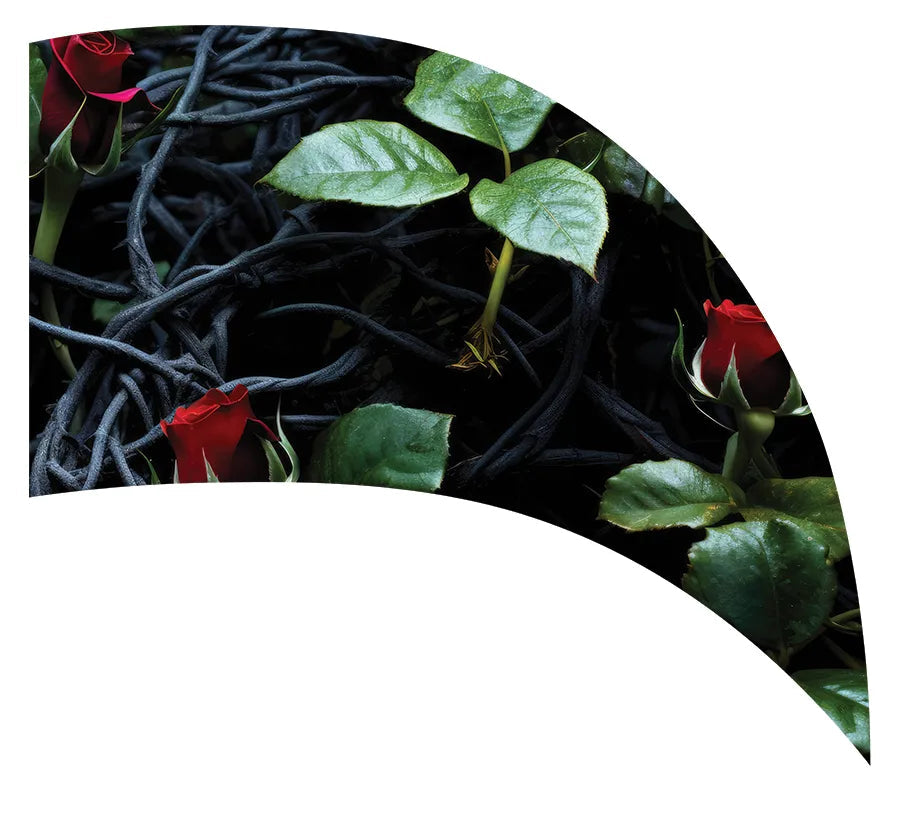 PP-1159-SP