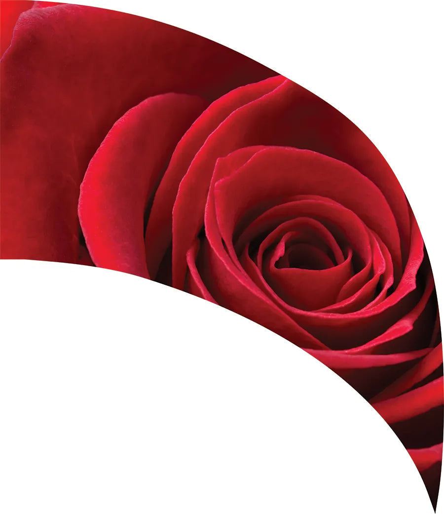 PP-1160-SP