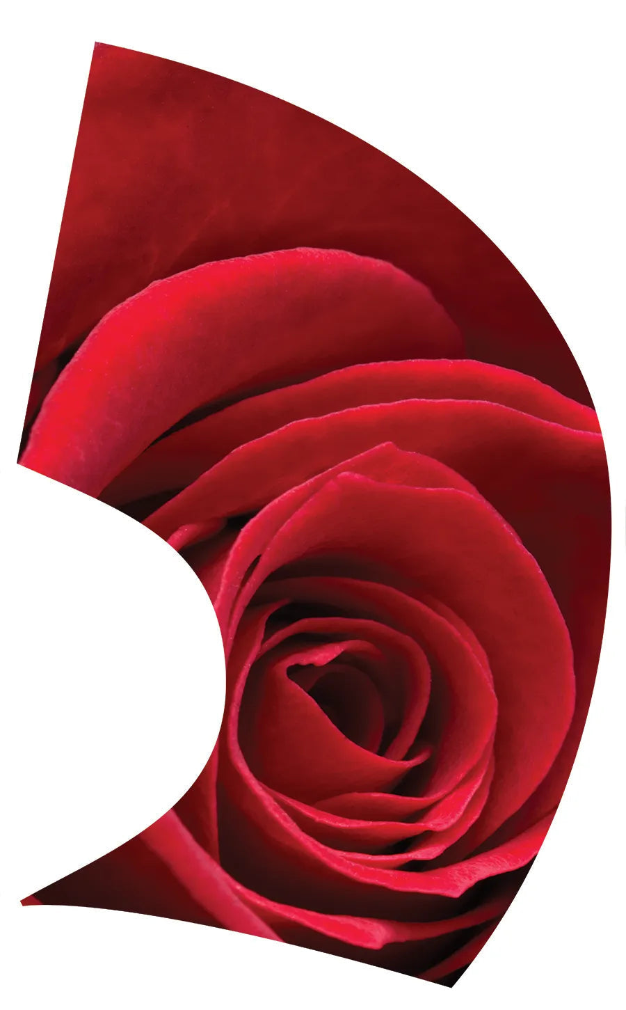 PP-1160-SP