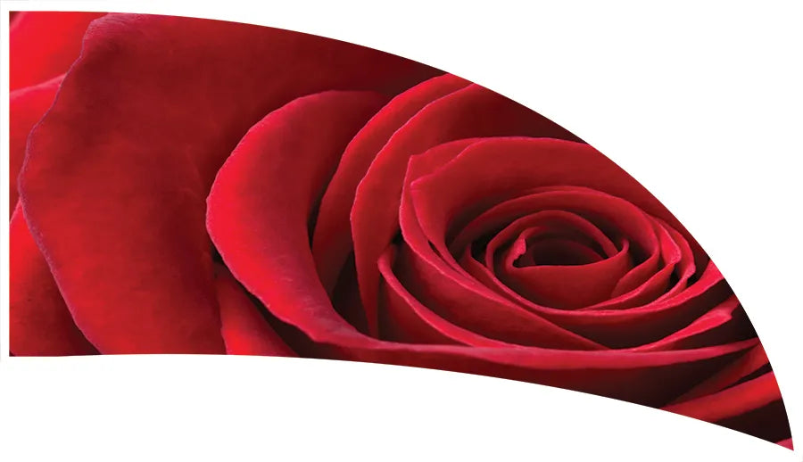 PP-1160-SP