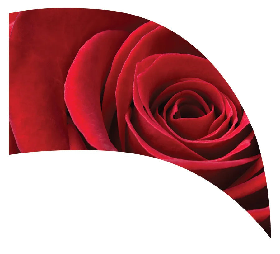 PP-1160-SP