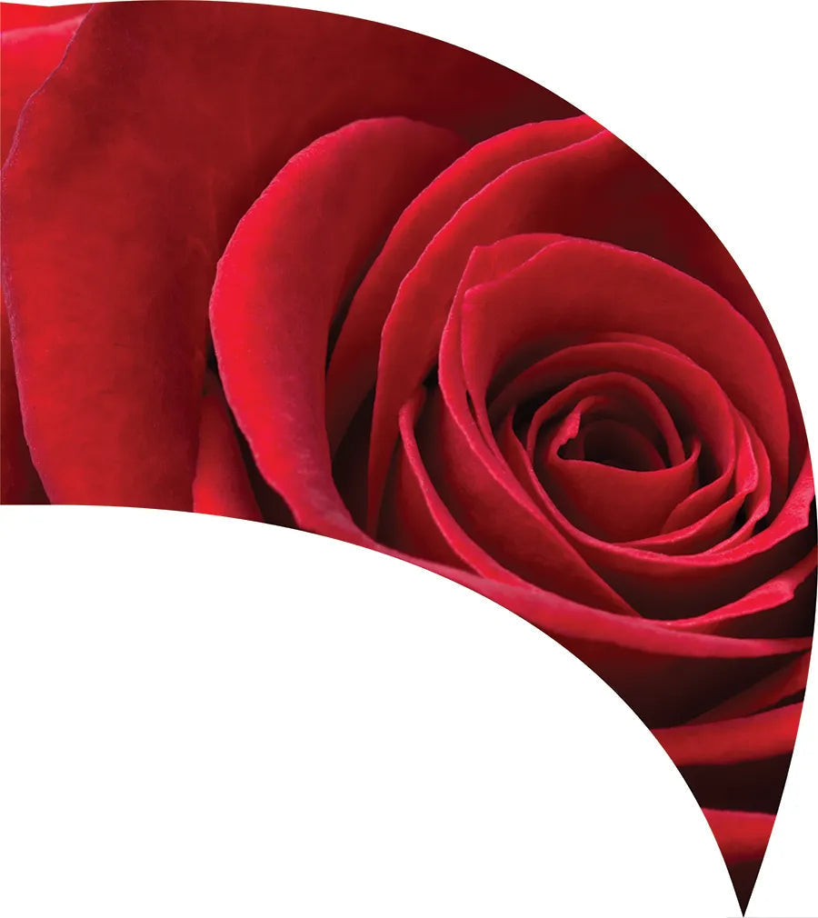 PP-1160-SP