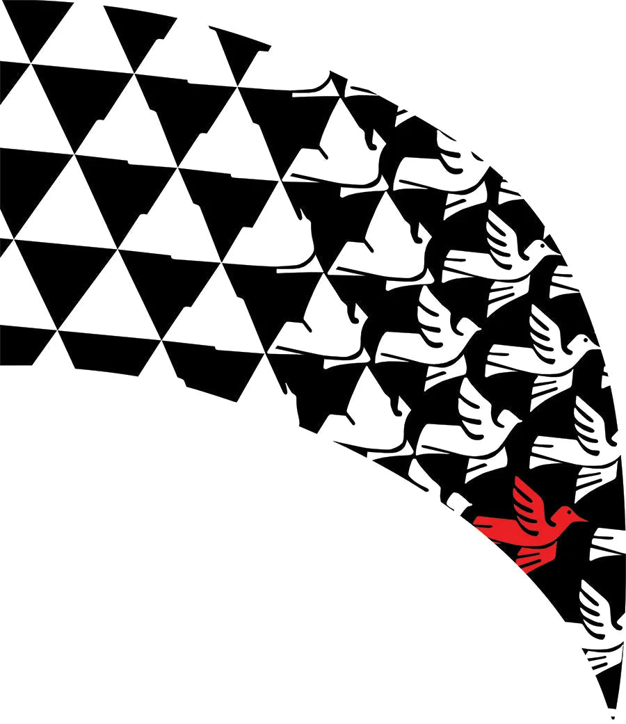 PP-1163-SP