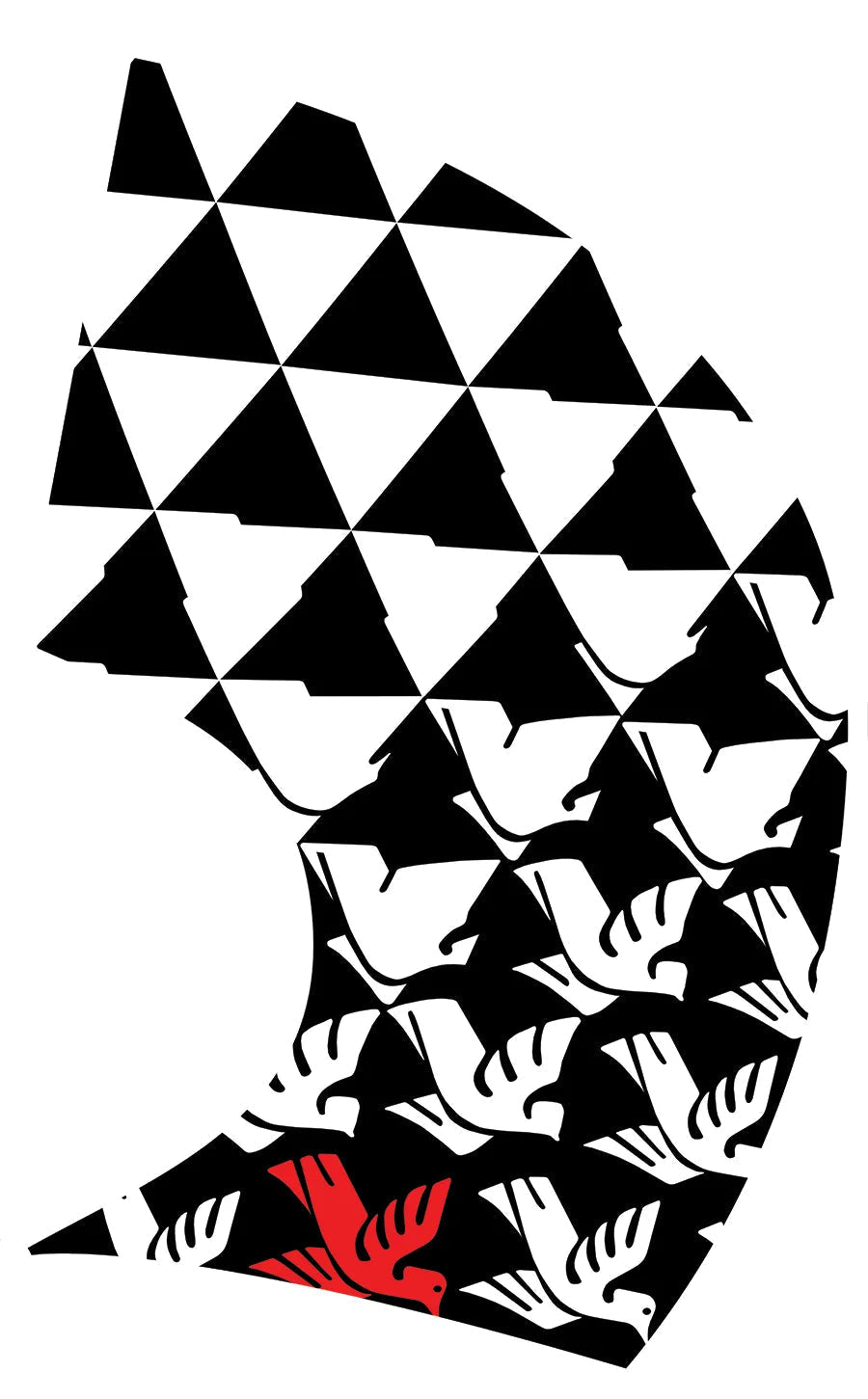 PP-1163-SP