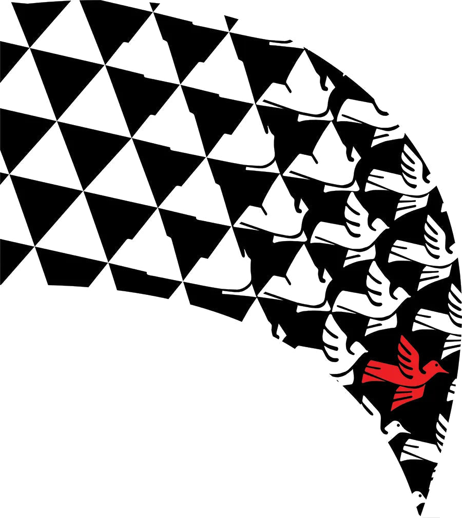 PP-1163-SP
