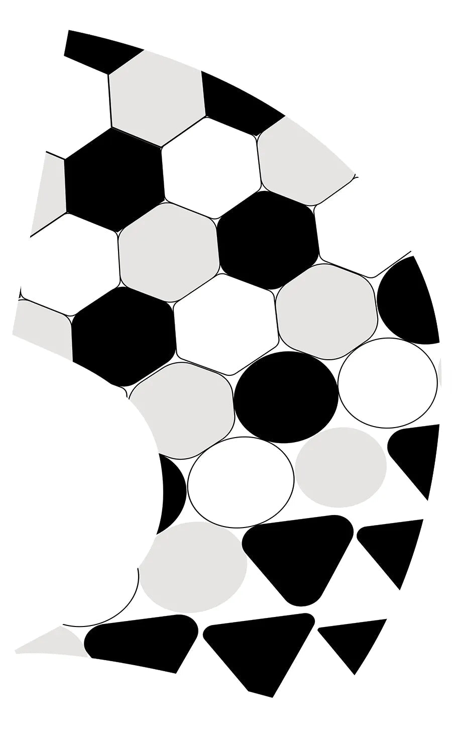 PP-1164-SP