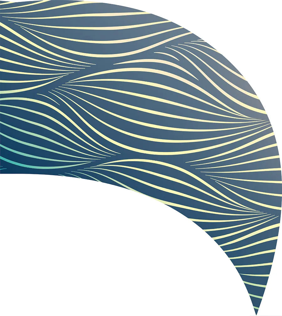 PP-1178-SP