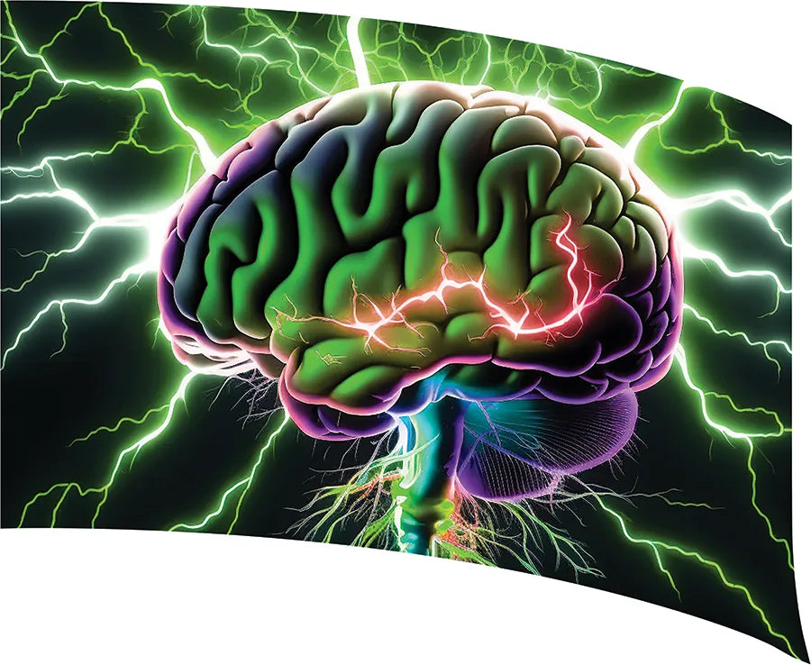 PP-1203-SP