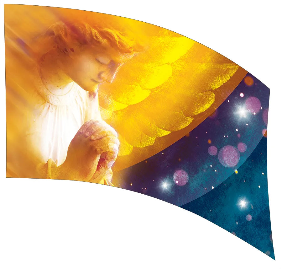 PP-1285-IG