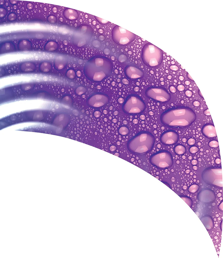 PP-1289-TW