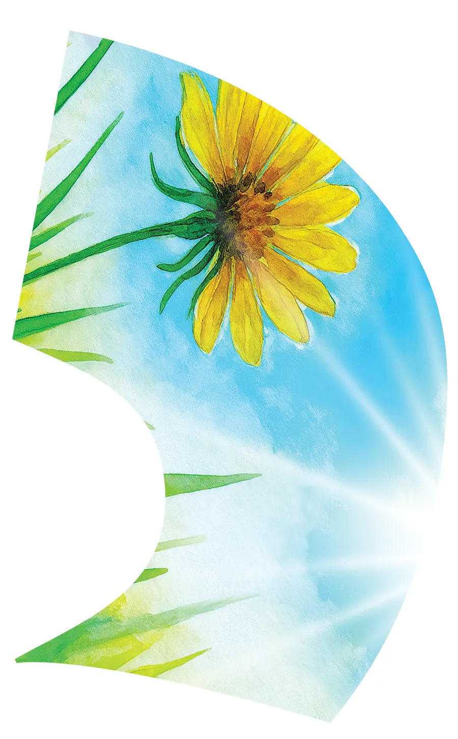 PP-1708-MM