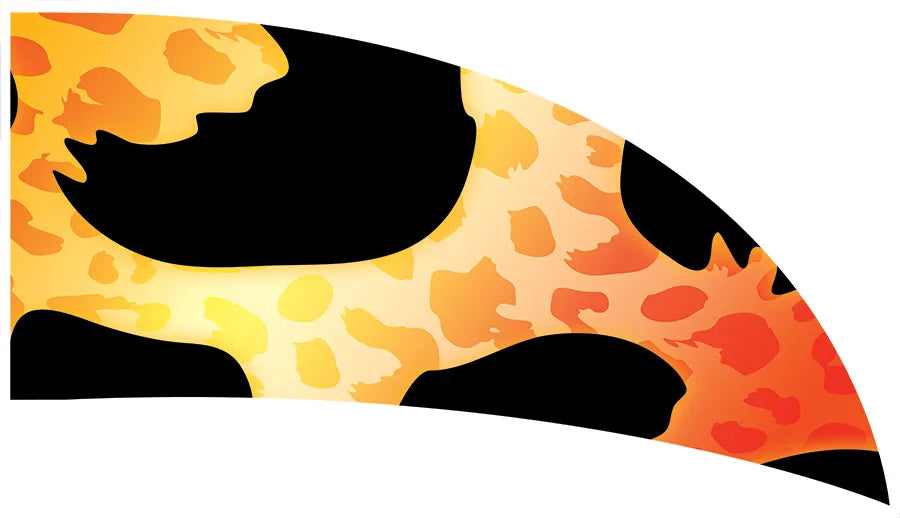 PP-1716-MM