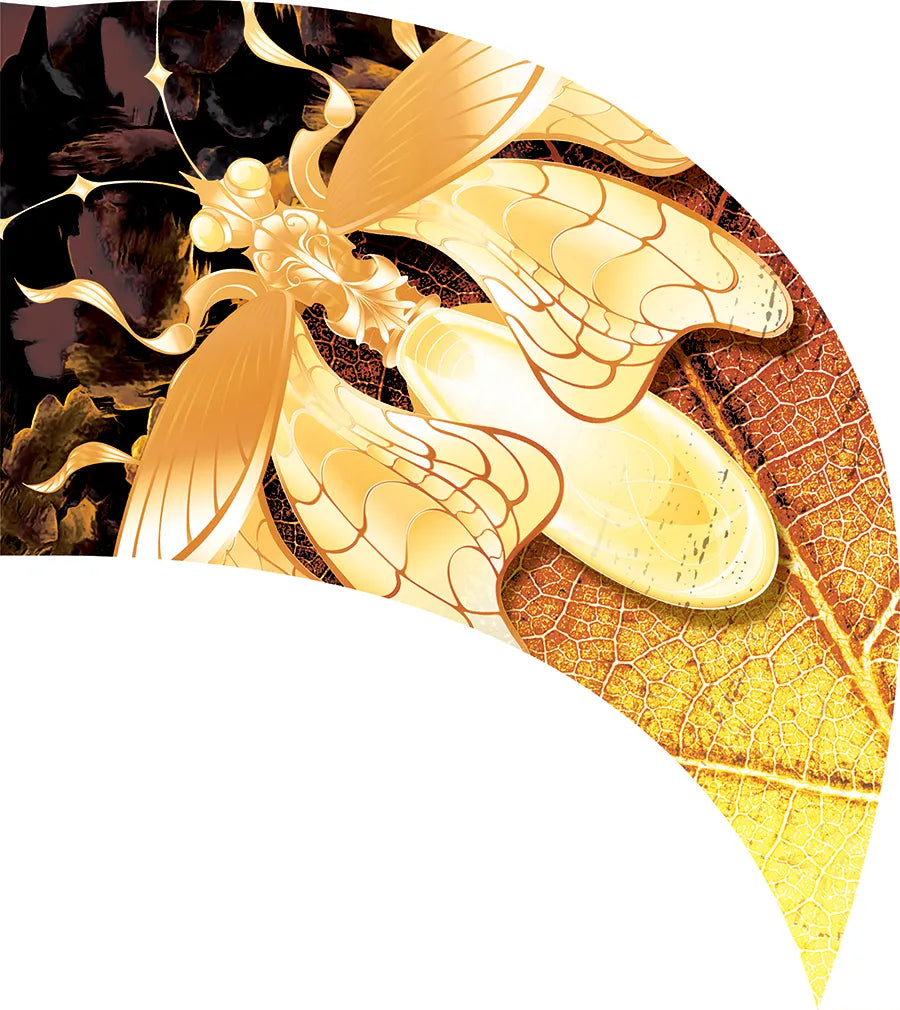 PP-2561-SS