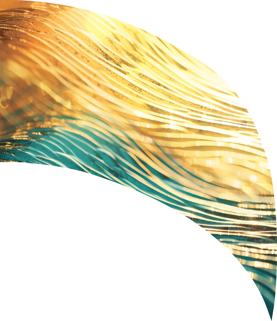 PP-2596-SS