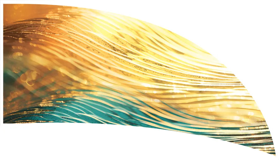 PP-2596-SS