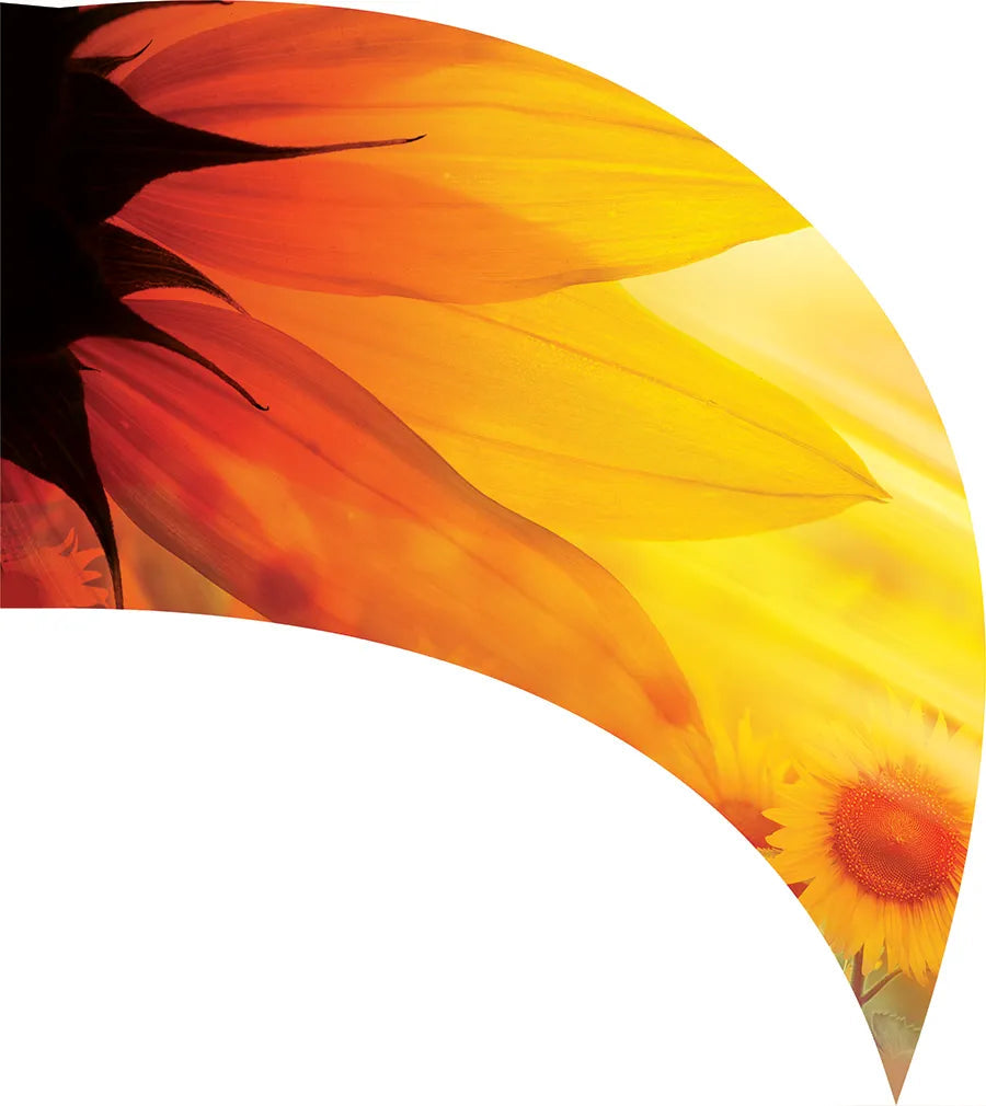 PP-2607-SS