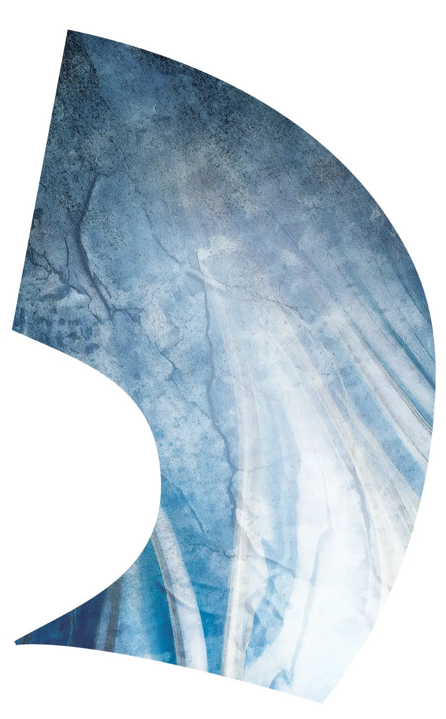 PP-2635-SS