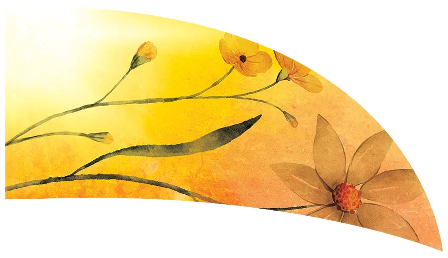 PP-2637-SS
