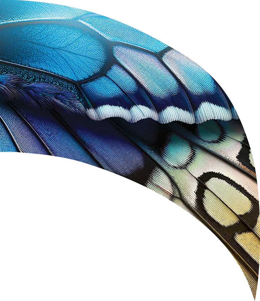 PP-2643-SS