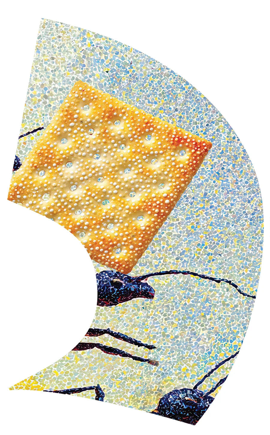 PP-2659-SS