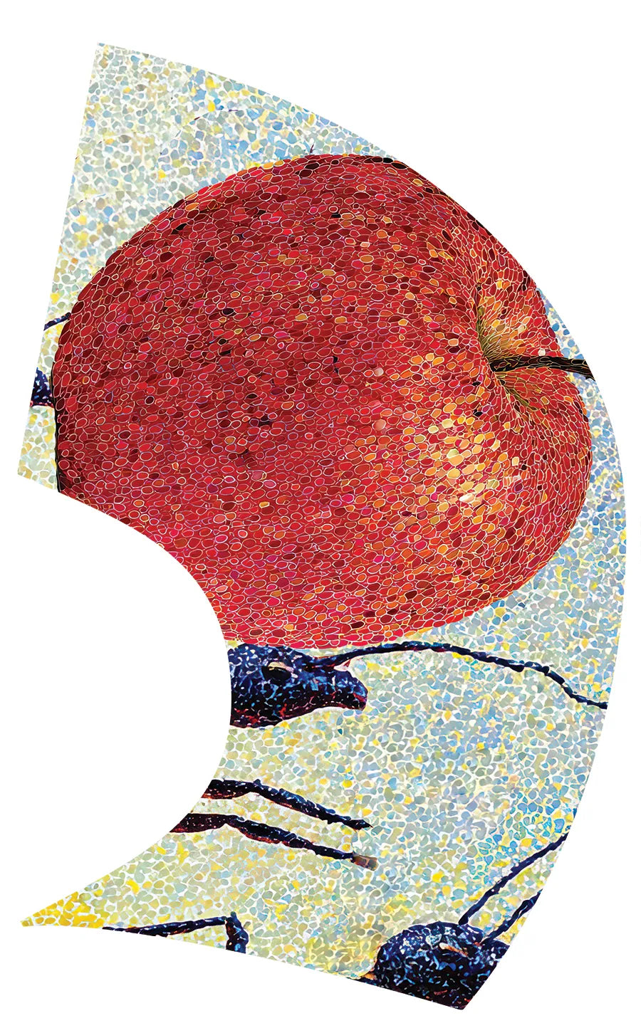 PP-2660-SS